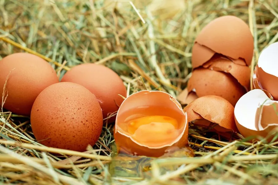 Raw eggs health benefits and drawbacks