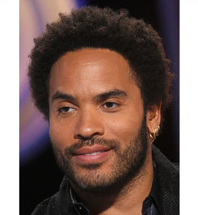 Sexy hairstyle for men: Lenny Kravitz's short afro